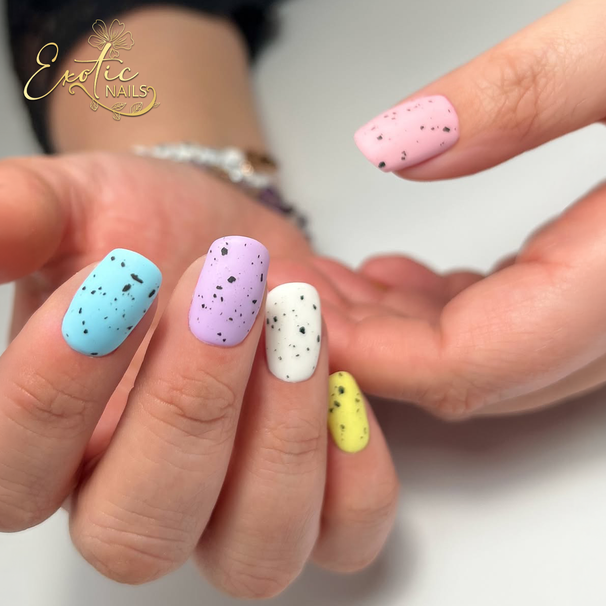Exotic Nails By TL nail work in Duncan, South Carolina